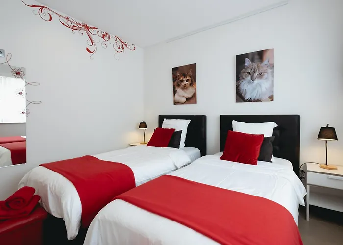 Cazenn Salir Do Porto - House * Salir de Porto